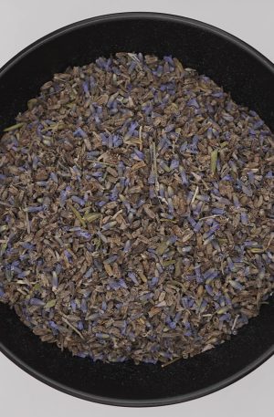 Alfazema Azul - Lavanda