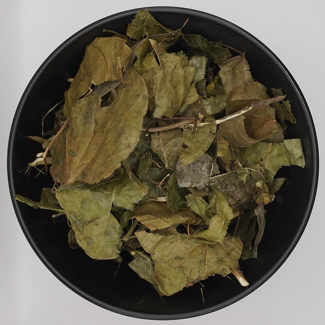 Maracujá (Folhas)