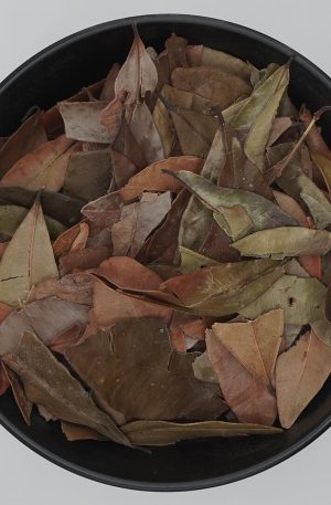 Pedra Ume Caá (Folhas)