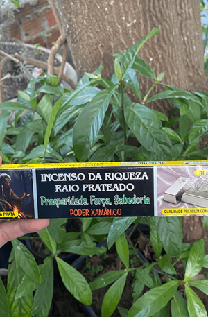 Incenso da Riqueza Raio Prateado – Poder Xamânico (caixa)