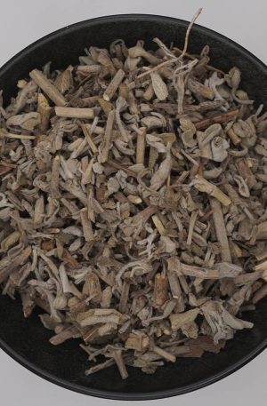 Sálvia – Salvia officinalis